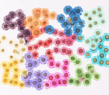120pcs Presate Uscat Conyza canadensis Flori Pentru Unghii Epoxidice Rășină Pandantiv Colier Bijuterii de Luare de Artizanat DIY Accesorii