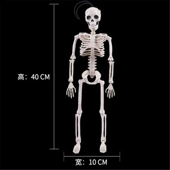 1x Halloween Flexibil Umane Anatomice Anatomie Scheletul Osos Modelul Medical de bunuri de Predare Petrecere de Halloween Decor Schelet