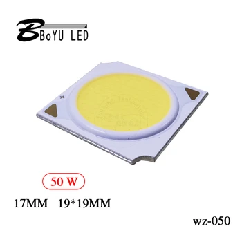 2 buc LED de mare putere sursă integrată de lumină panoul de lumina 50W napolitana chip COB lampă margele integrat sursă de lumină led