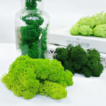 20g de Înaltă Calitate Mușchi Artificial Nemuritor Moss Simulare Planta Verde Iarbă Acasă Decorative de Perete DIY Micro Peisaj Accesorii