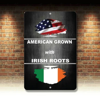 American a Crescut Cu Rădăcini Irlandeze Noutate Amuzant Metal Sign 8 x 12