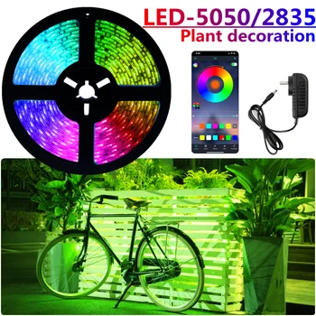 Benzi LED RGB 5050 SMD 2835 Impermeabil Lampă Flexibil Banda Diodă luces led Neon 5M 10M DC12V Pentru Camera Plante decor