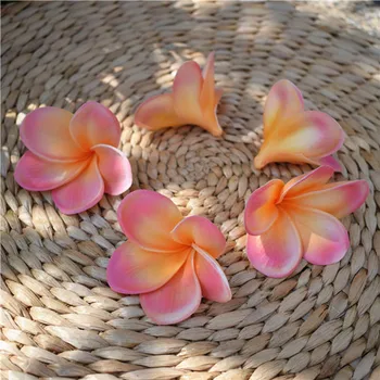 Lumina Coral frangipani Plumerias Naturale Flori Reale Touch capete de Flori pentru tort de decorare și buchete de nunta