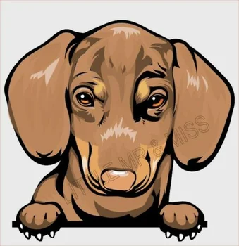 Pentru Teckel cu ochiul Rasa de Câine de Culoare Fereastră Perete Sticker Laptop w/dovada