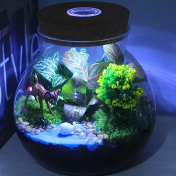 Roman și Ciudat Jucărie Nouă Luminat Moss Micro-peisaj Eco-sticla DIY Sticle de Ghivece cu Plante Verzi Creative Ornamente Vegetale
