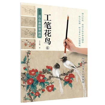 Tradițională chineză pictura carte de artă Nouă Compilație de Xin Zhai Contur Pictura Carte: Meticulos Flori și Păsări (6)