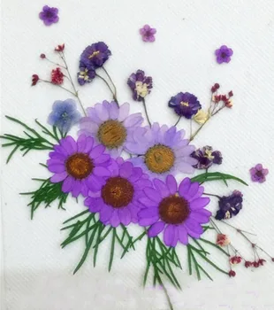 Uscate Presate Violet Flori+Frunze de Plante Ierbar Pentru Bijuterii Cercei Pandantiv de a Face Scrapbooking Ambarcațiuni DIY Accesorii Style209
